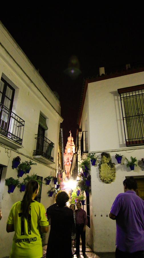 Calleja de las flores en Cordoba