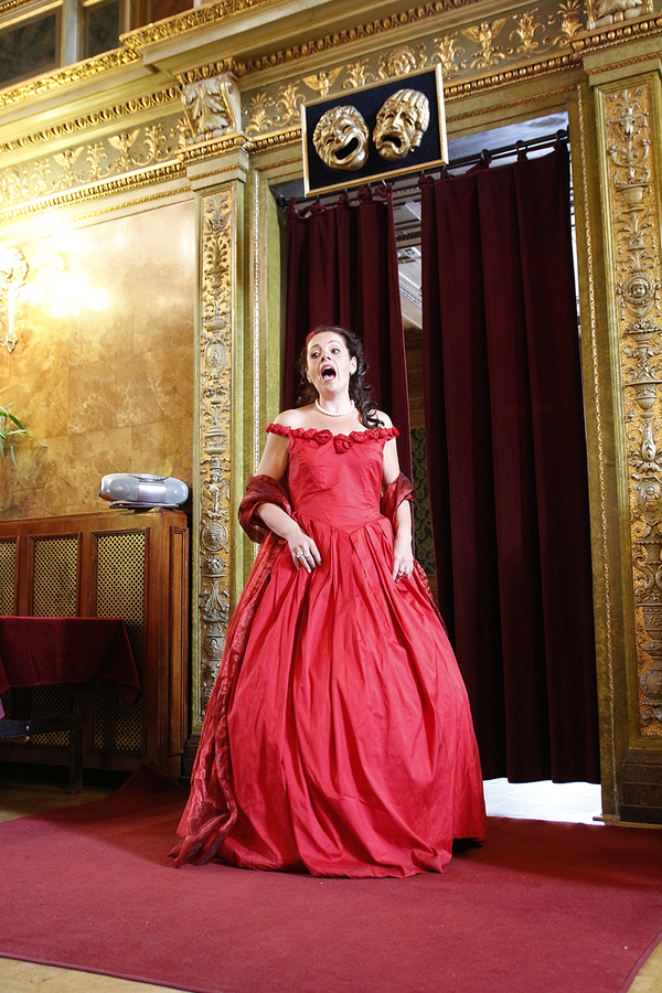 Cantante en la Opera de Budapest Cantante en la Opera de Budapest