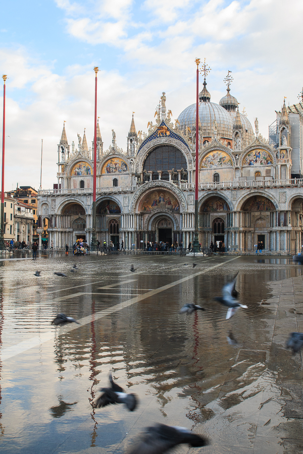 Catedral de San Marcos y el Acqua alta Catedral de San Marcos cuando hay inundaciones