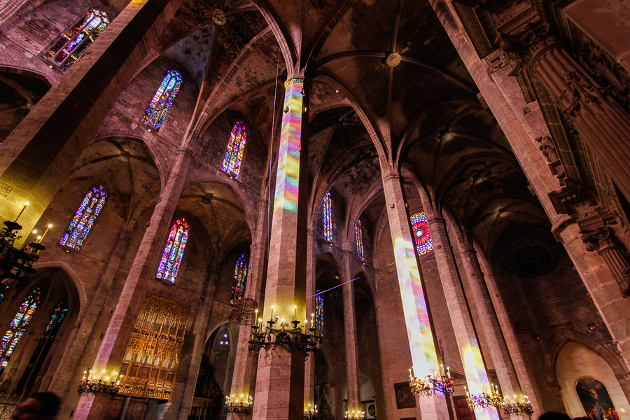 columnata catedral de mallorca llena de color