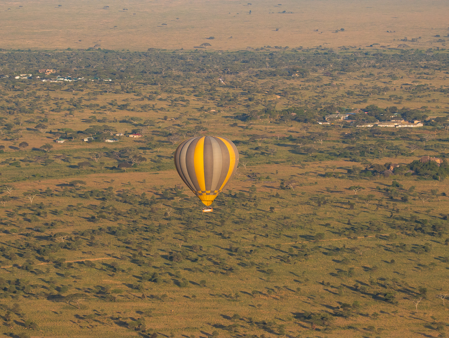 Comparativa seguro Tanzania