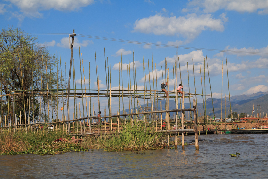 Construyendo palafitos Construyendo palafitos