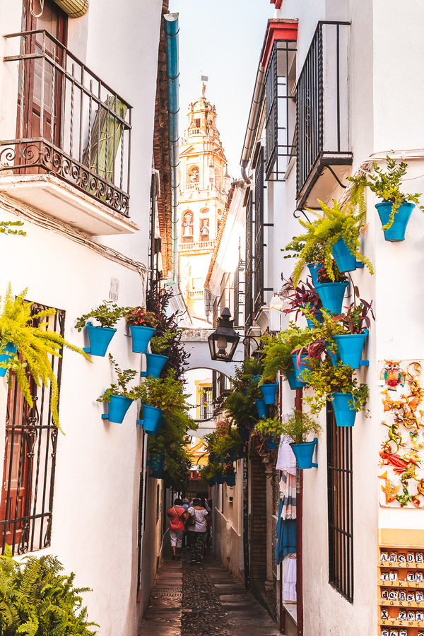 Cordoba en 4 dias Calleja de las flores