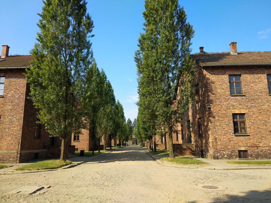 Cracovia en 3 dias Auschwitz