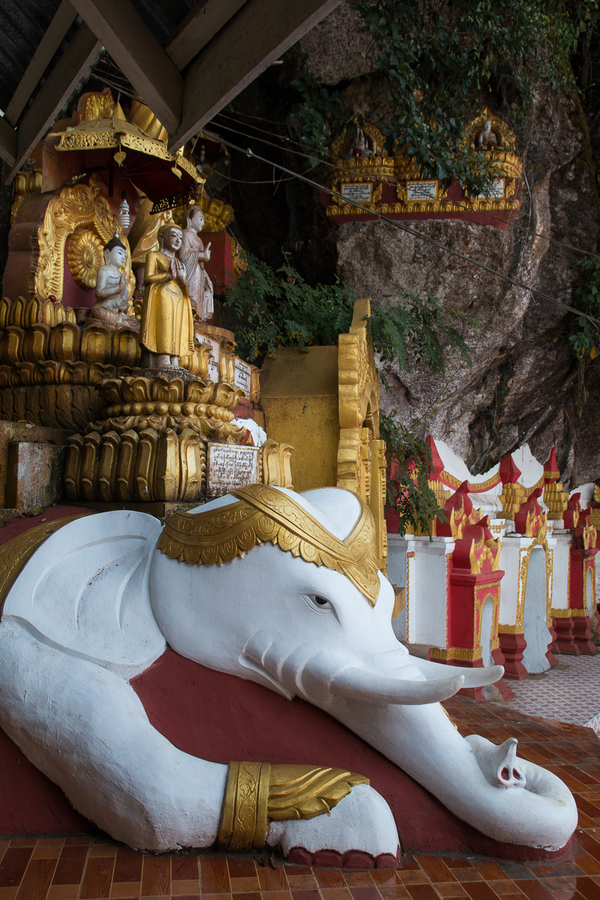 Elefante a la entrada de la cueva