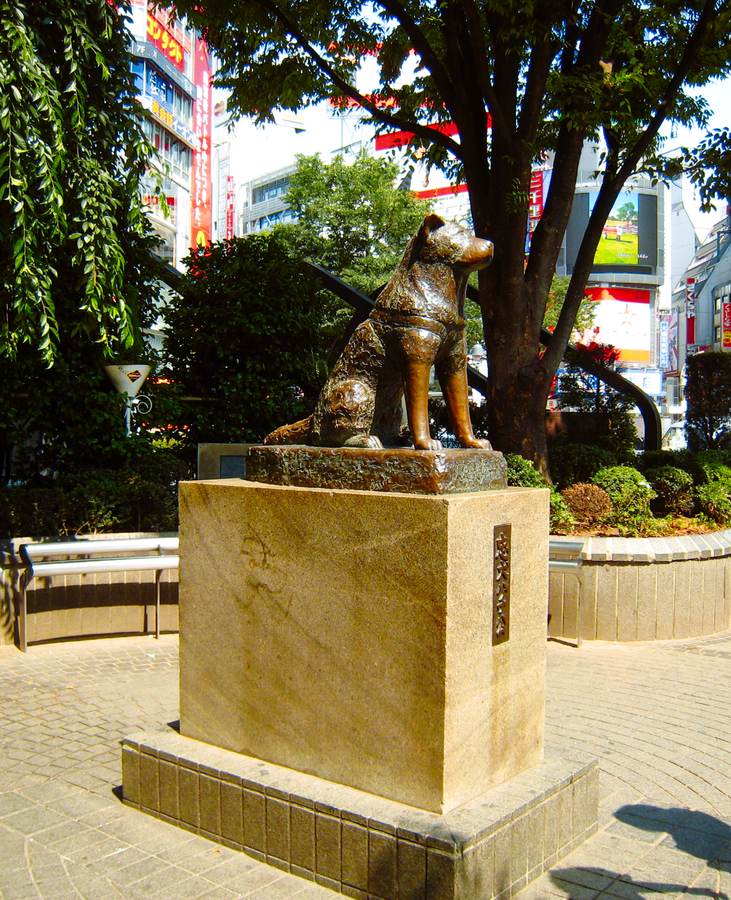 Estatua de Hachiko en Shibuya