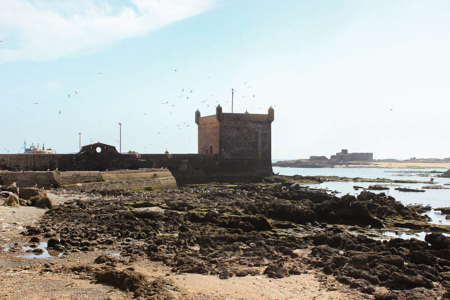 Excursion a Essaouira desde Marrakech