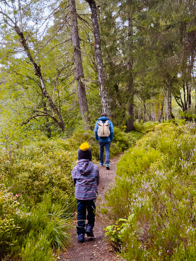 Excursion a HighLands desde Edimburgo