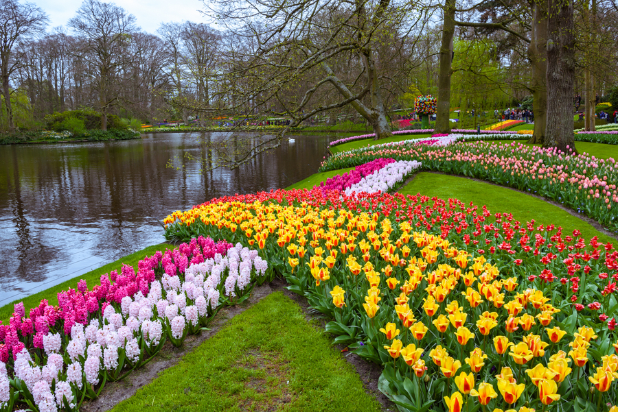Excursion a Keukenhof