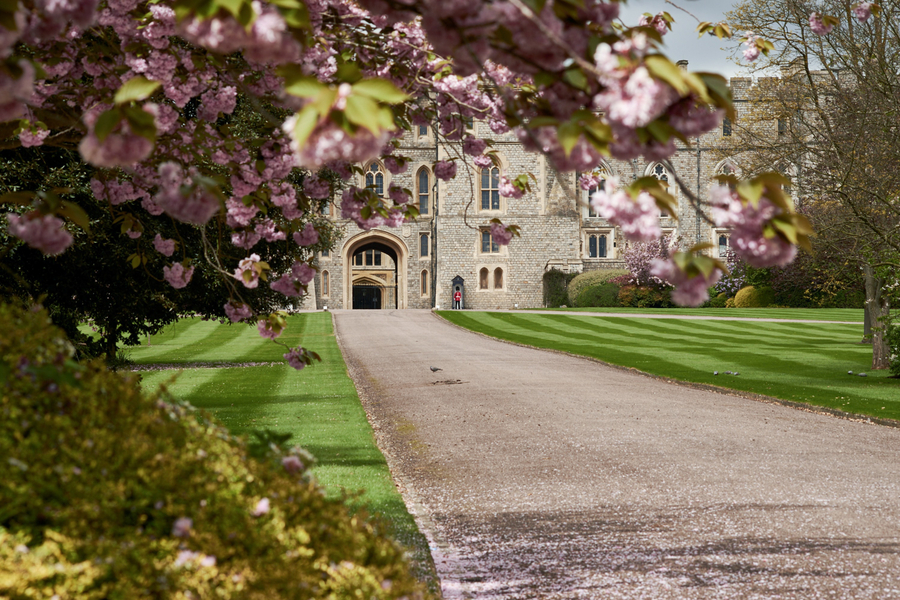 Excursion al castillo de Windsor desde Londres