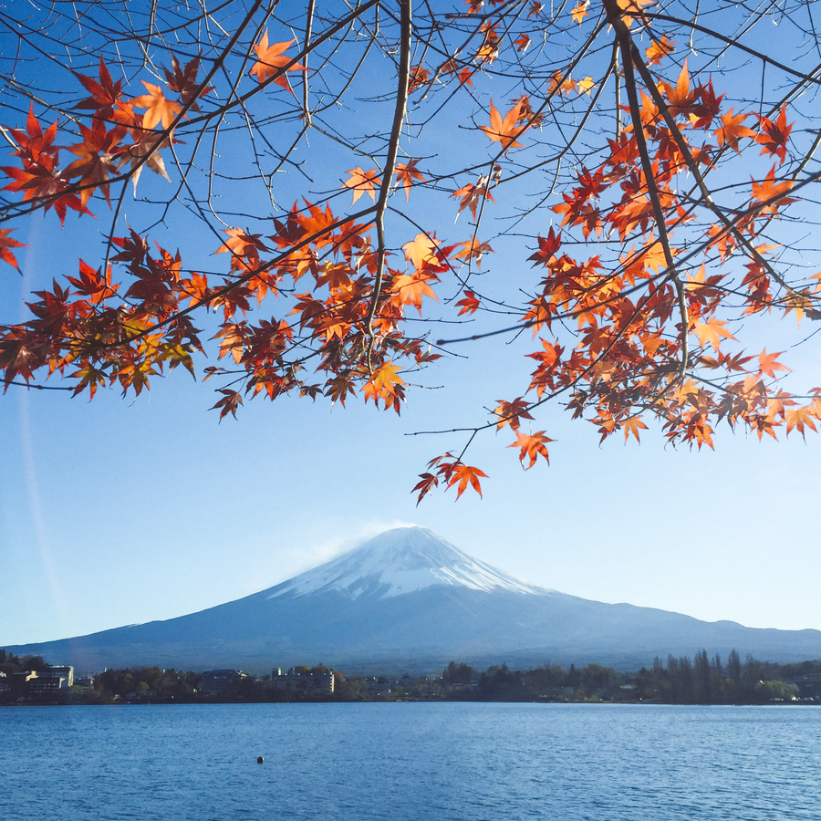 Excursion al Monte Fuji desde Tokio
