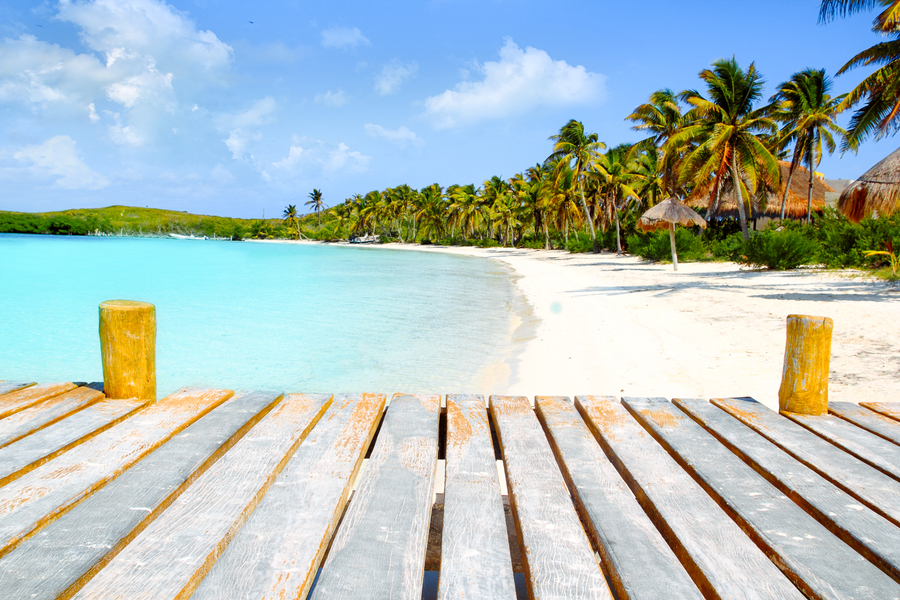 Excursion desde Playa del Carmen a Isla Contoy