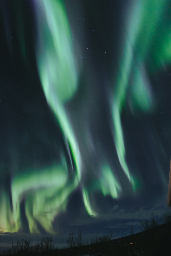 Excursión desde Reikiavik para ver la aurora boreal en Islandia