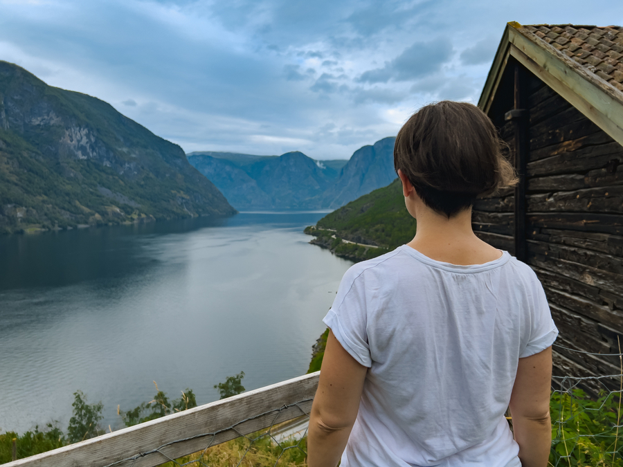 Fiordo de los sueños desde Flam