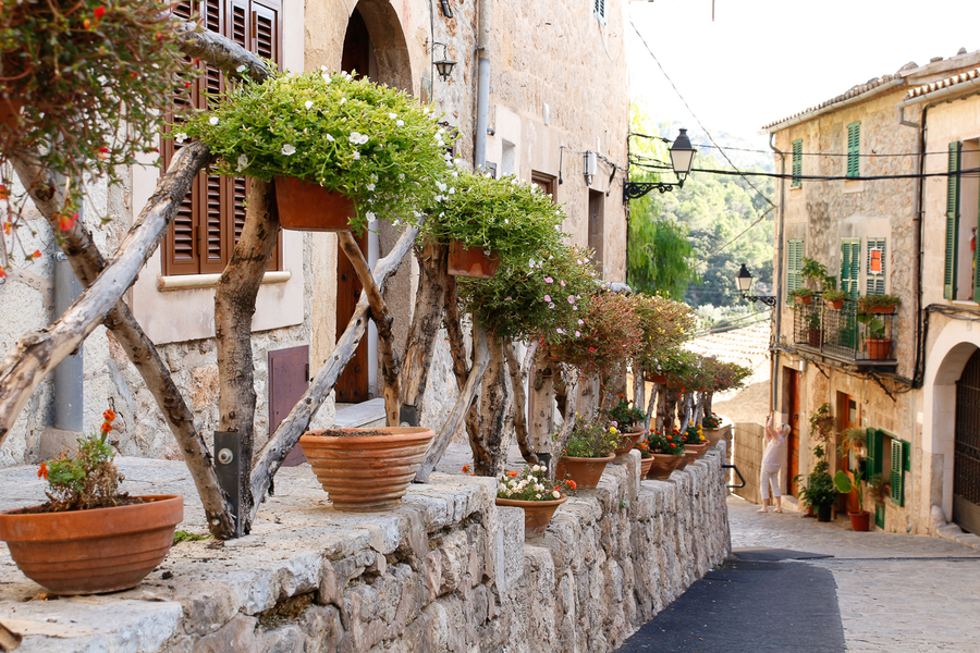 Flores por doquier en Valldemossa Flores por doquier en Valldemossa