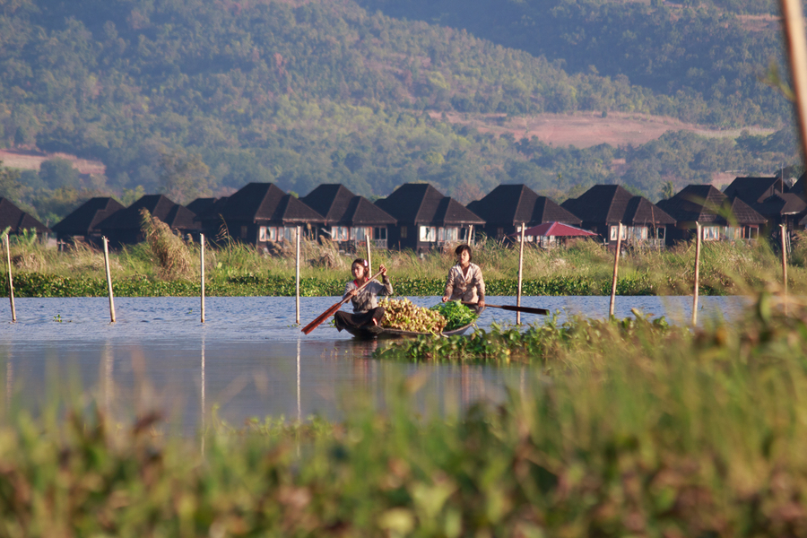 Habitantes del Lago Inle Habitantes del Lago Inle
