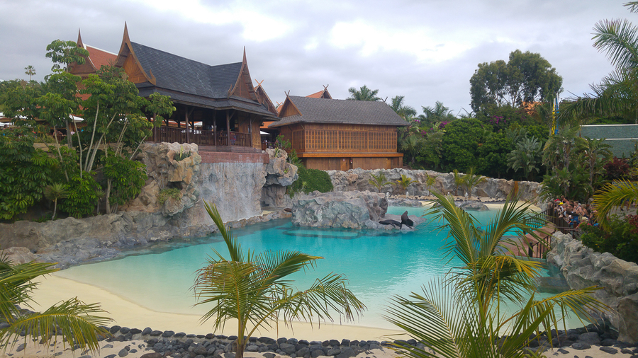 isla de los leones marinos en siam park