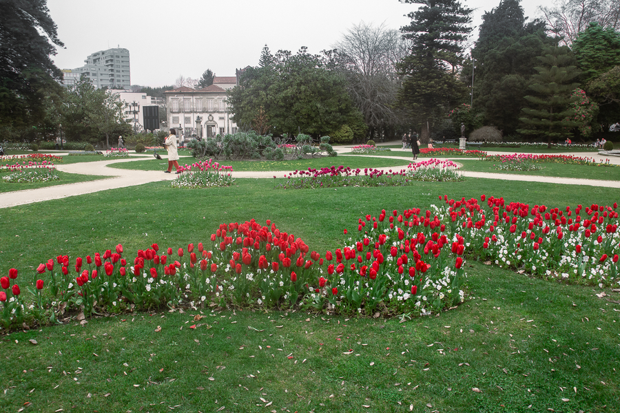 Qué no perderte si estás 3 días por Oporto