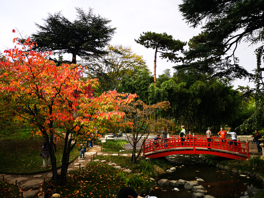 jardines japoneses Albert Kahn jardines japoneses Albert Kahn