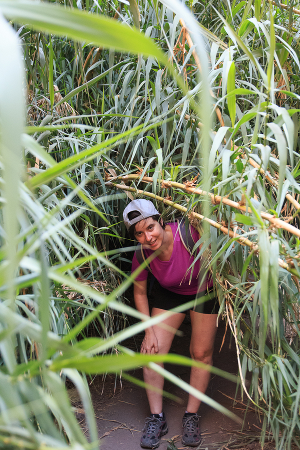 Jungla del barranco de Masca