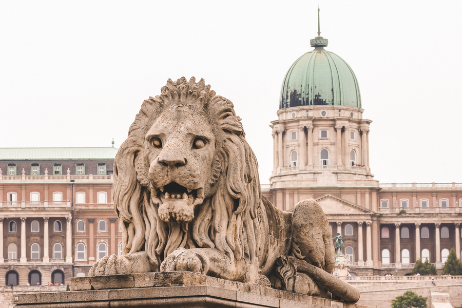 Leon del Puente de las Cadenas de Budapest