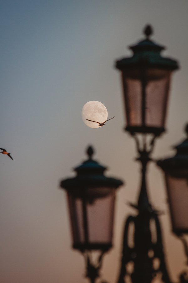Luna al atardecer en Venecia