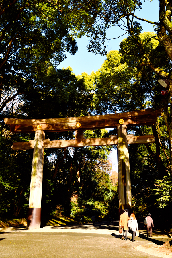 Meiji Jingu Tokio en 7 dias