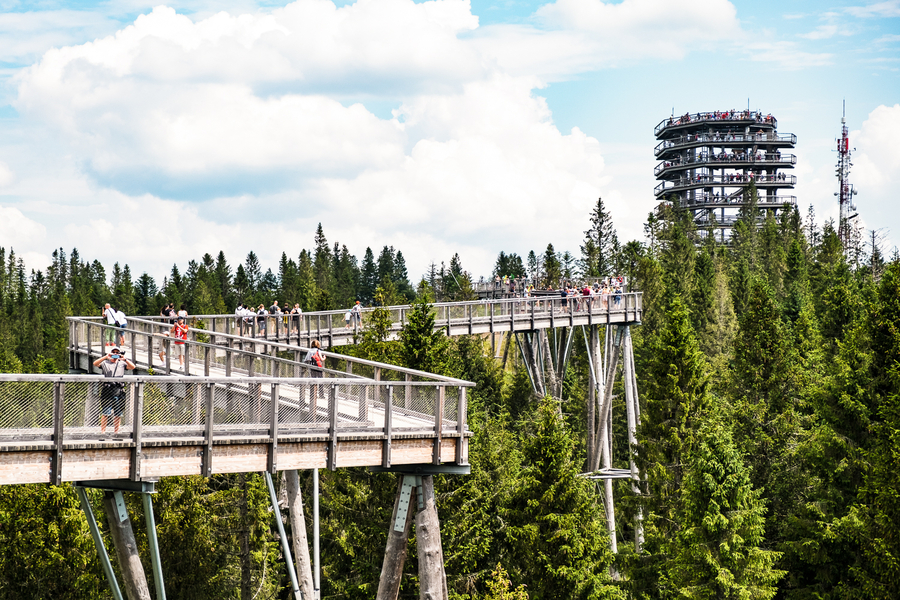Mejores excursiones desde Cracovia Treetop Walk Bachledka