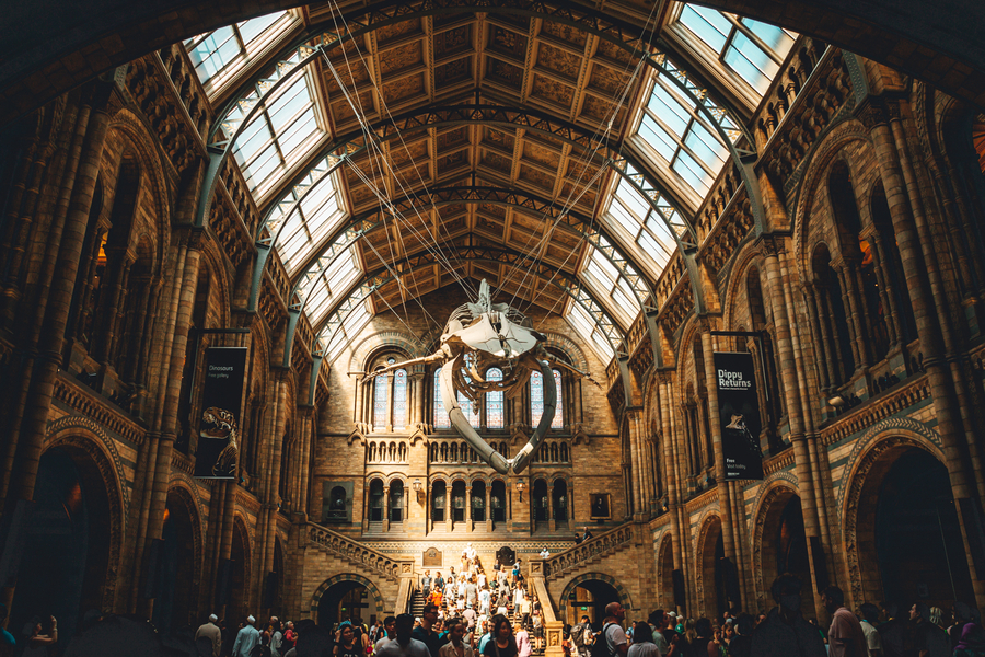 Museo de Historia Natural de Londres