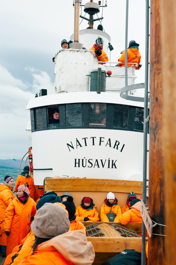 Nattfari avistamiento ballenas en Husavik