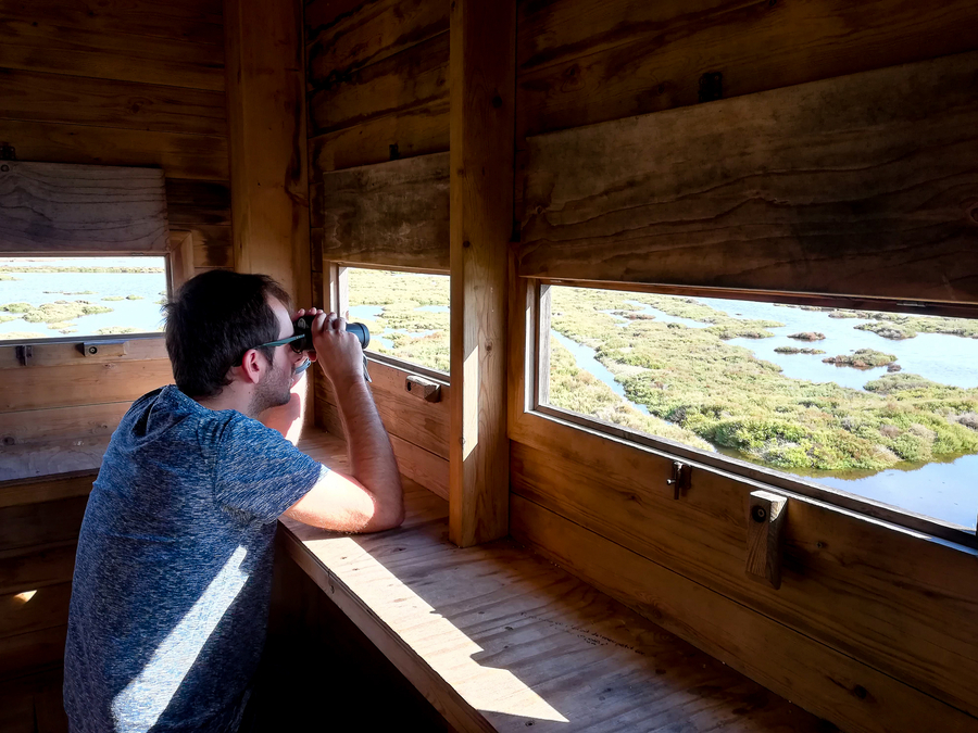 Observacion de aves en el Delta del Ebro