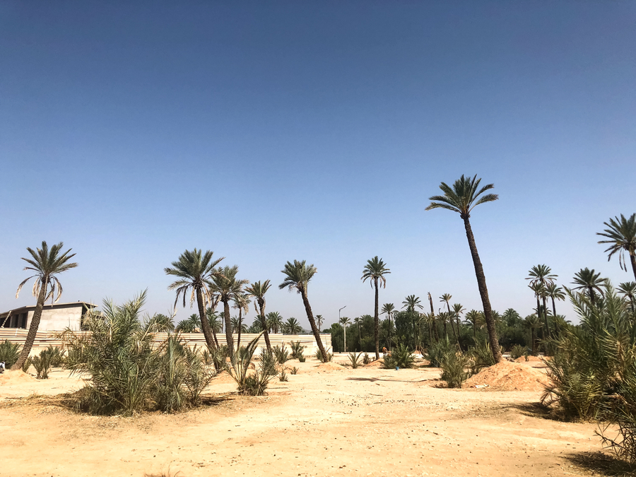 Palmeral Marrakech