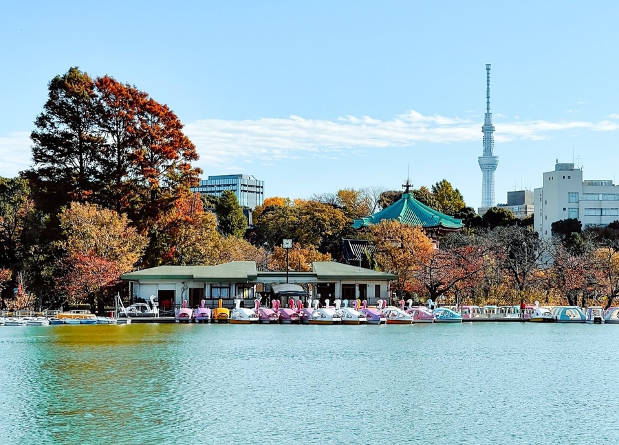 Parque de Ueno en Tokio en 5 dias