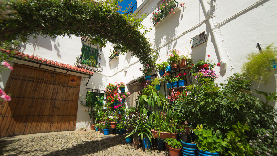 Patios andaluces de Córdoba