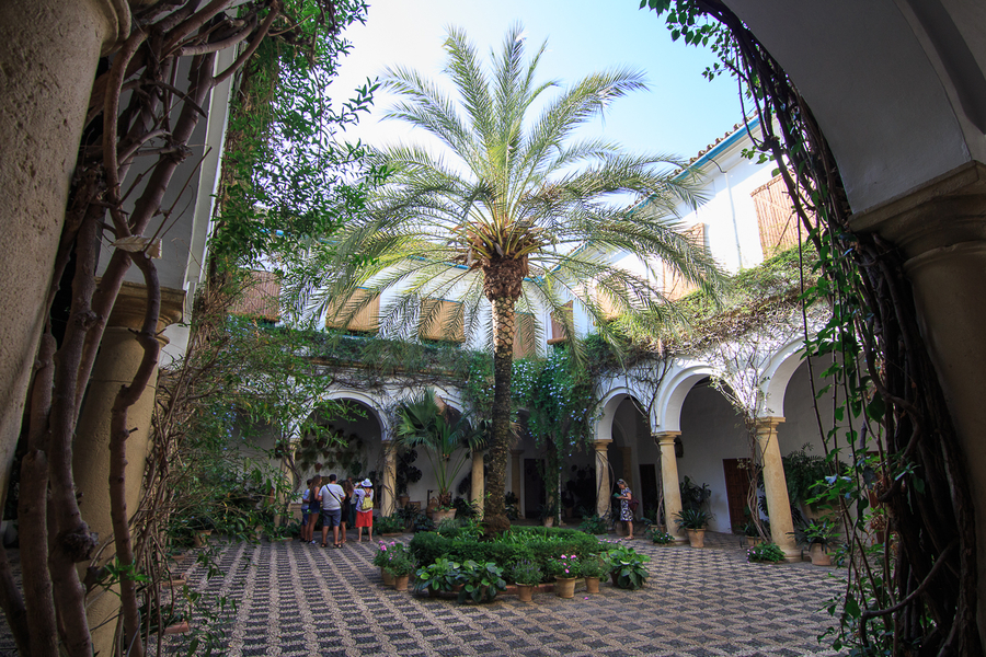 Patios del Palacio de Viana en Cordoba Patios del Palacio de Viana en Cordoba