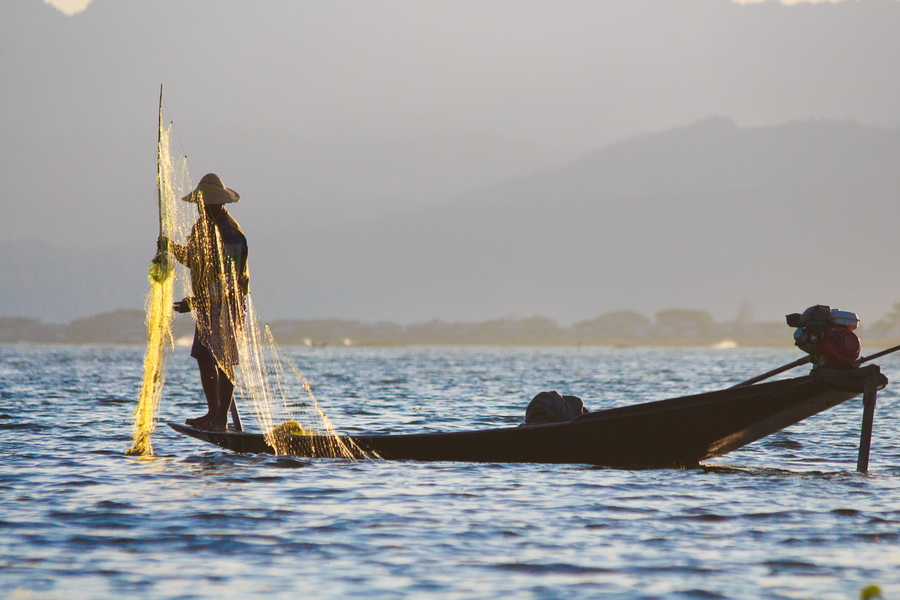 Pescador en el Lago Inle Pescador en el Lago Inle