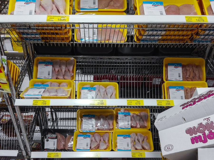 Pollo Pollo