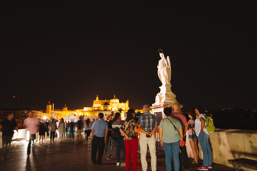 Puente romano de Córdoba por la noche