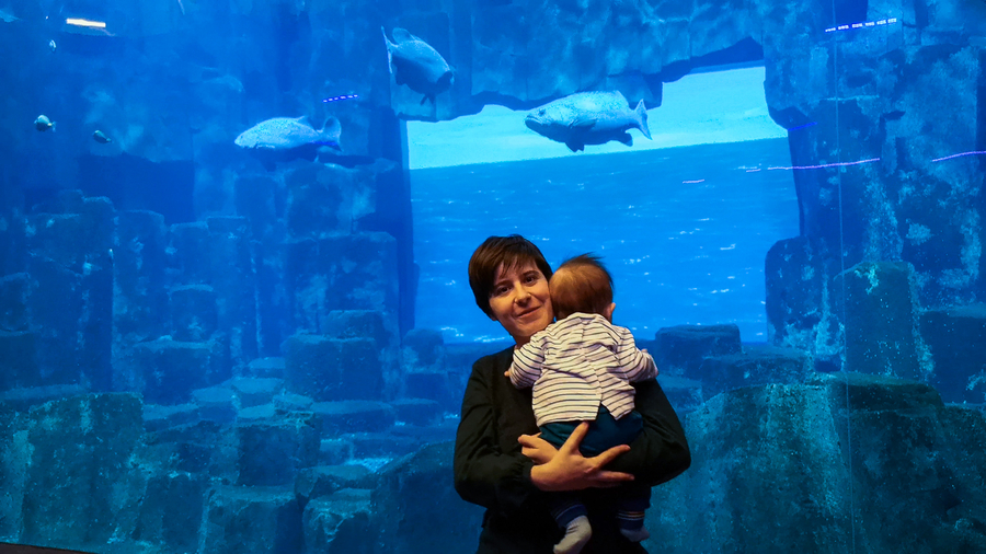 que hacer en Paris Aquarium que hacer en Paris Aquarium