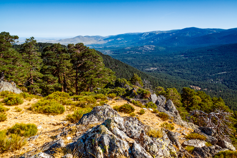 Que ver cerca de Madrid Parque Nacional de la Sierra de Guadarrama