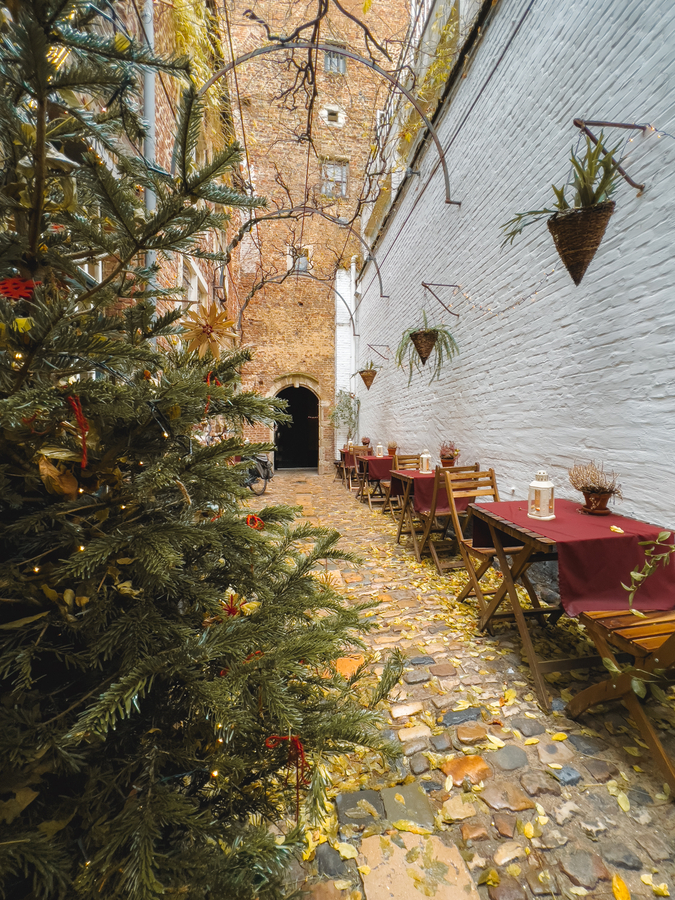 Que ver en Amberes Callejon Vlaeikensgang