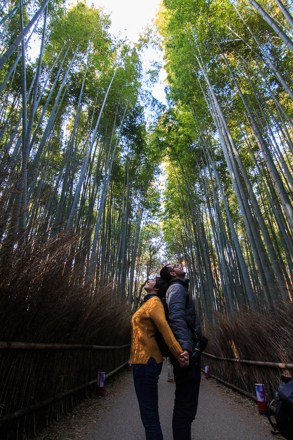Que ver en Kioto bosque Arashiyama Que ver en Kioto bosque Arashiyama