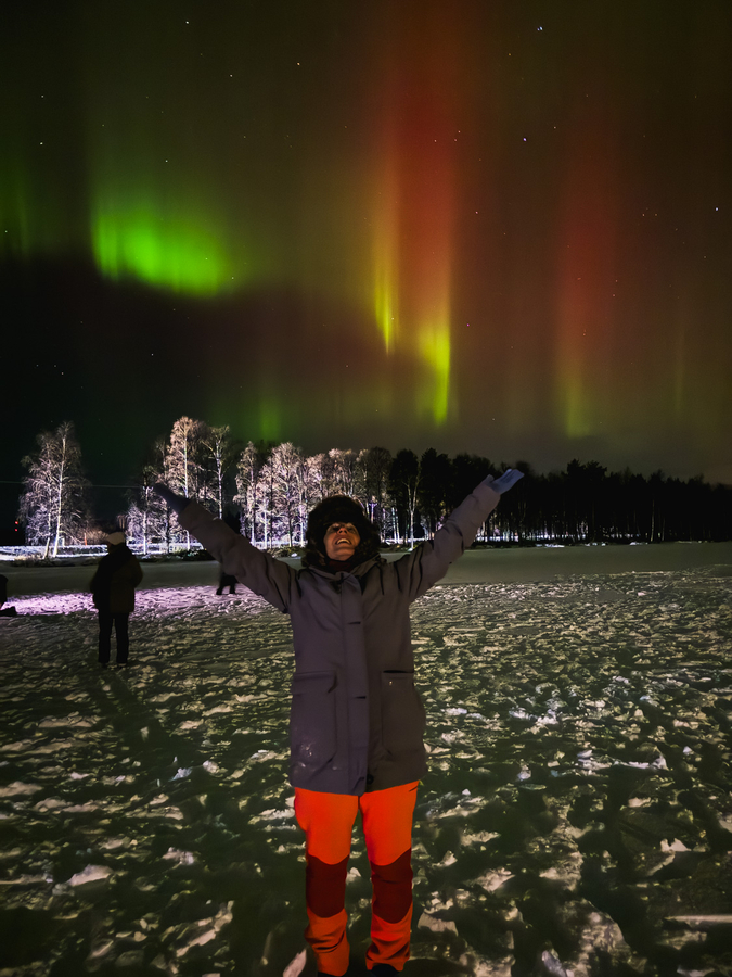 Que ver en Laponia auroras boreales