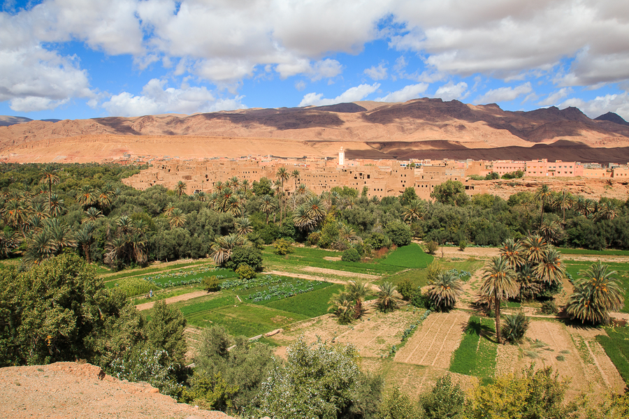 Que ver en Marruecos Oasis en el desierto Que ver en Marruecos Oasis en el desierto
