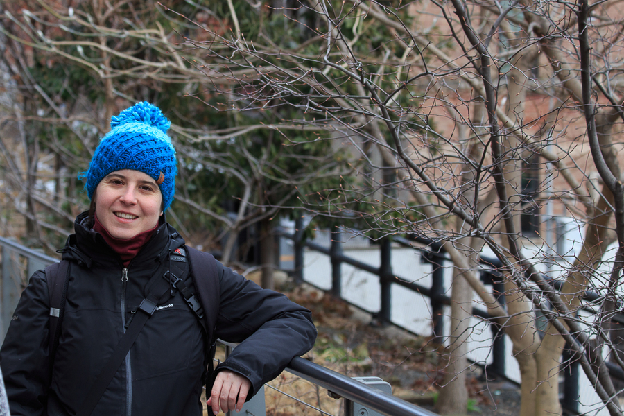 Que ver en Nueva York la High Line