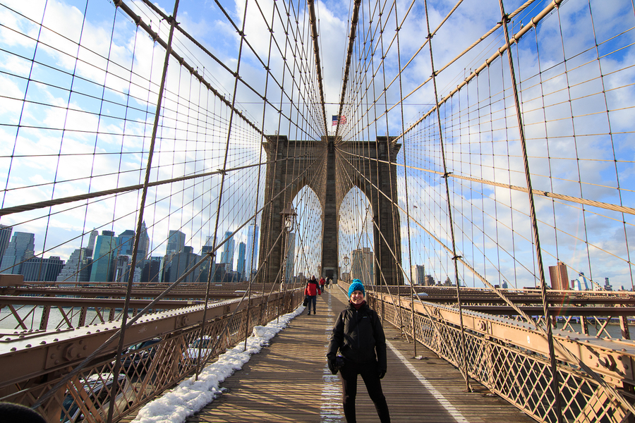 lino Duplicación profundo Nueva York en invierno: ¿Es recomendable?