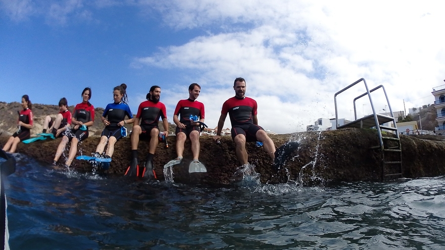 Que ver en Tenerife haciendo snorkel Que ver en Tenerife haciendo snorkel