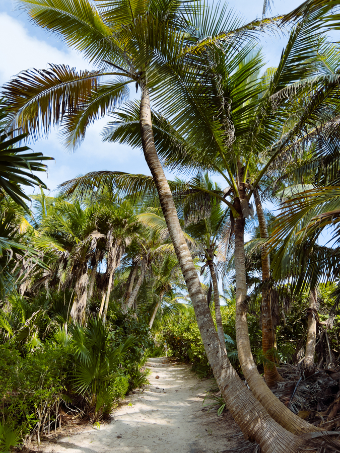 Riviera Maya en Mexico