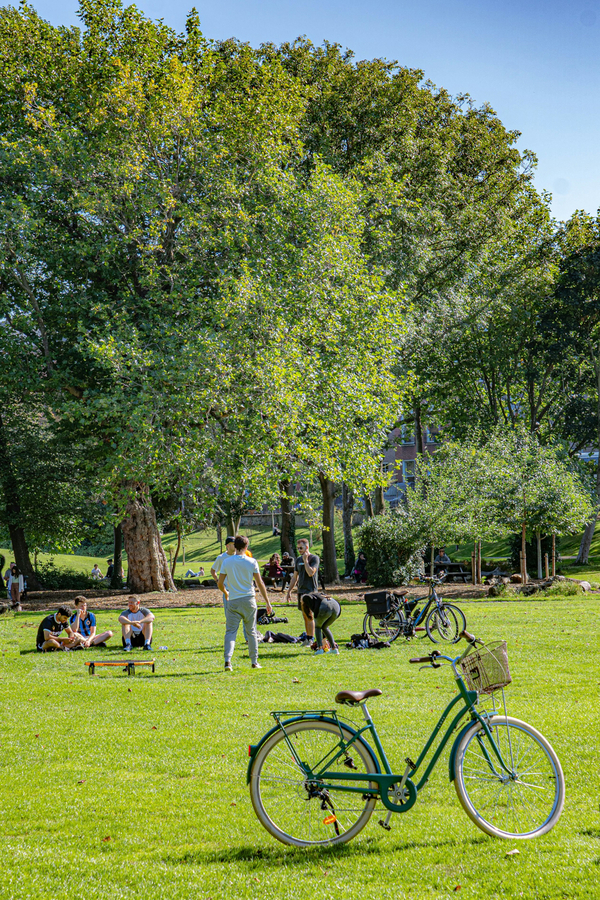 Visitar St Stephen's Green en Dublín en 4 días