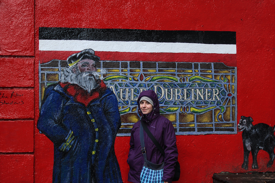 The Dubliner en Temple Bar The Dubliner en Temple Bar